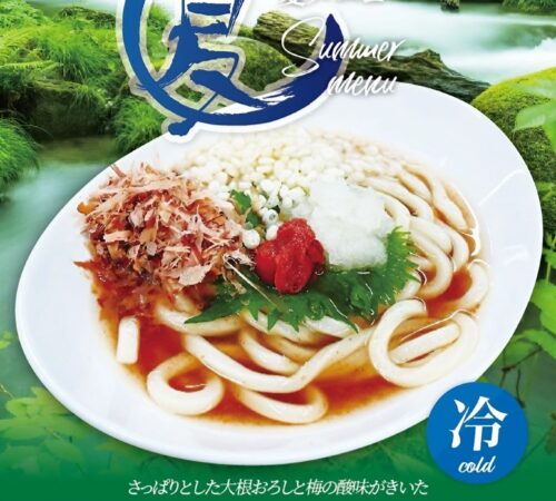 梅おろしぶっかけうどん